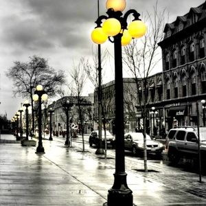 𝓛𝓪 𝓥𝓲𝓮 𝓮𝓷 𝓻𝓸𝓼𝓮 🌹𝓧𝓞- 𝓑𝓮𝓫𝓮